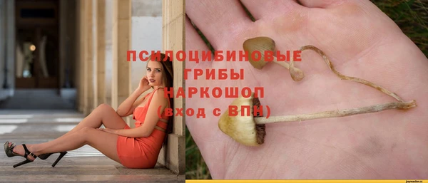 спайс Краснослободск