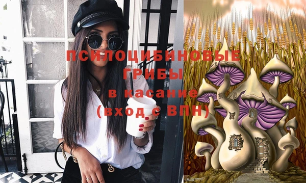 эйфоретик Новосибирск